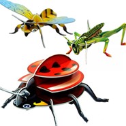 3D Educational Puzzle - Insects